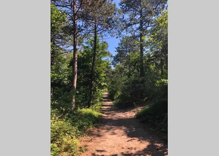 Сasa de vacaciones Beachhouse Seabreeze - Vernieuwd! *