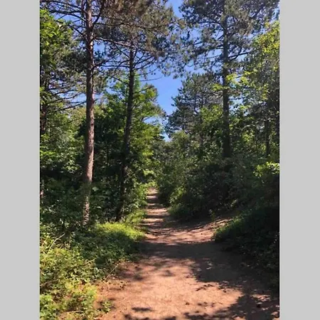 Nyaraló Beachhouse Seabreeze - Vernieuwd! *